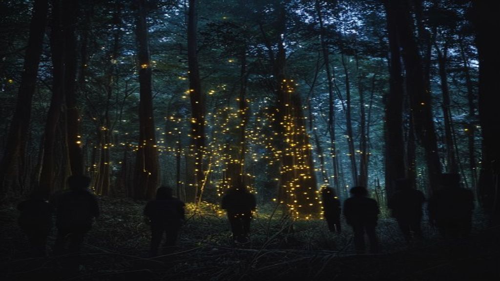 Temporada de Luciérnagas 2026 atrae a turistas a los bosques de Tlaxcala